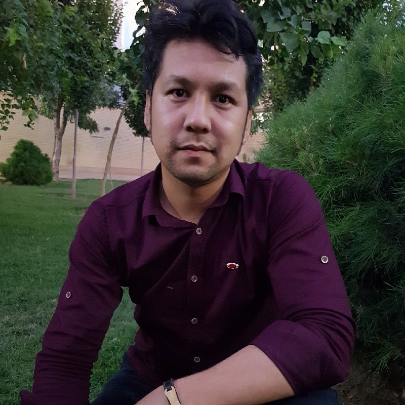 برشکاردروازه ای